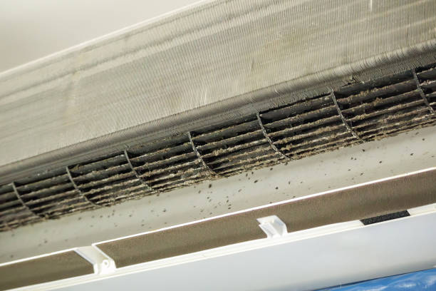 Best Local Air Duct Cleaning Services  in Cedar Bluff, VA