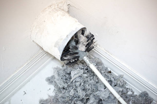 Best Affordable HVAC Duct Cleaning  in Cedar Bluff, VA